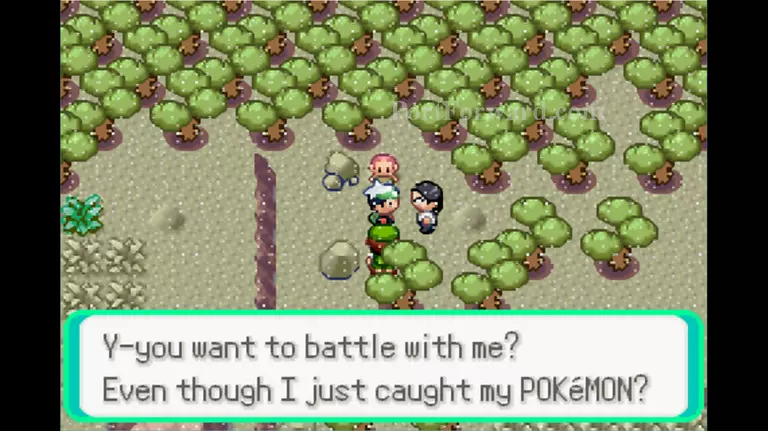 Pokemon Emerald Walkthrough - Pokemon Emerald 391