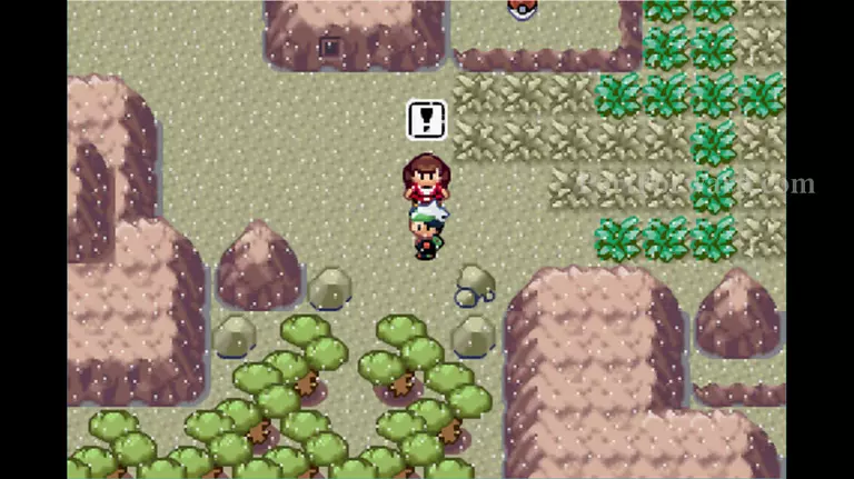 Pokemon Emerald Walkthrough - Pokemon Emerald 394