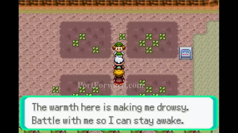 Pokemon Emerald Walkthrough - Pokemon Emerald 404