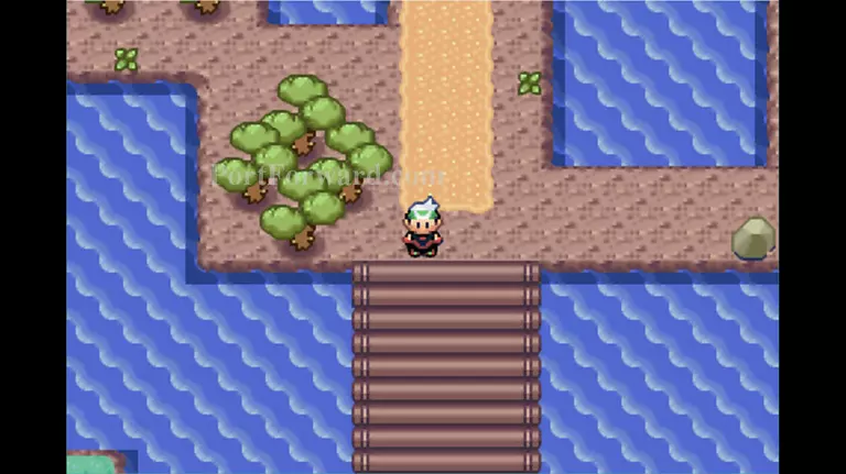 Pokemon Emerald Walkthrough - Pokemon Emerald 416