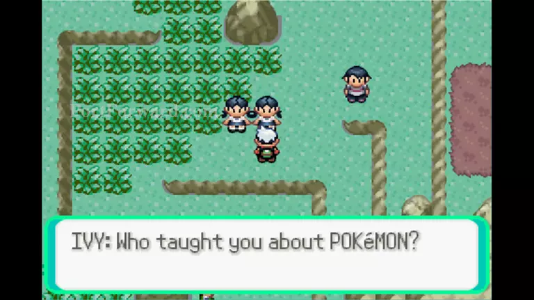 Pokemon Emerald Walkthrough - Pokemon Emerald 428