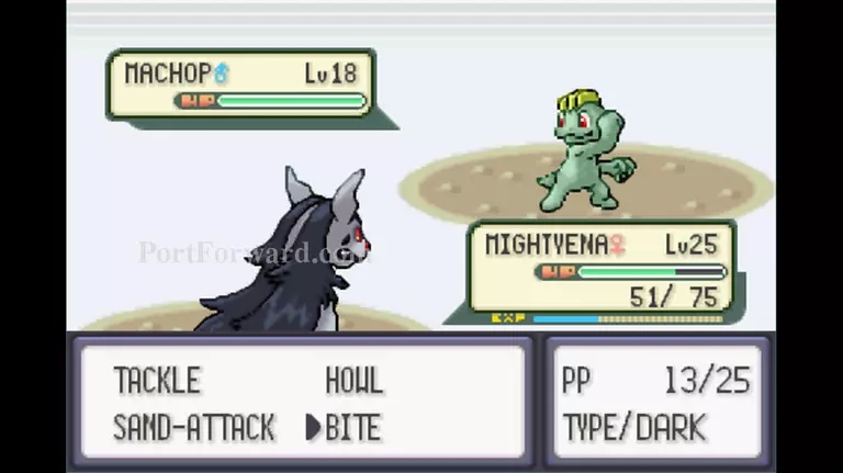 Pokemon Emerald Walkthrough - Pokemon Emerald 445