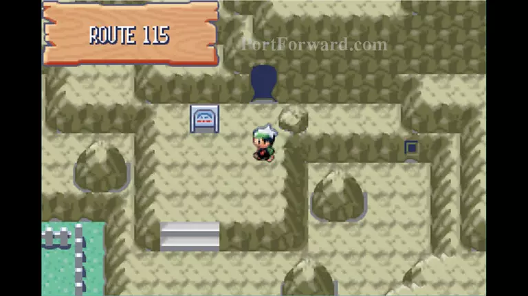 Pokemon Emerald Walkthrough - Pokemon Emerald 449