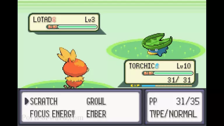 Pokemon Emerald Walkthrough - Pokemon Emerald 45