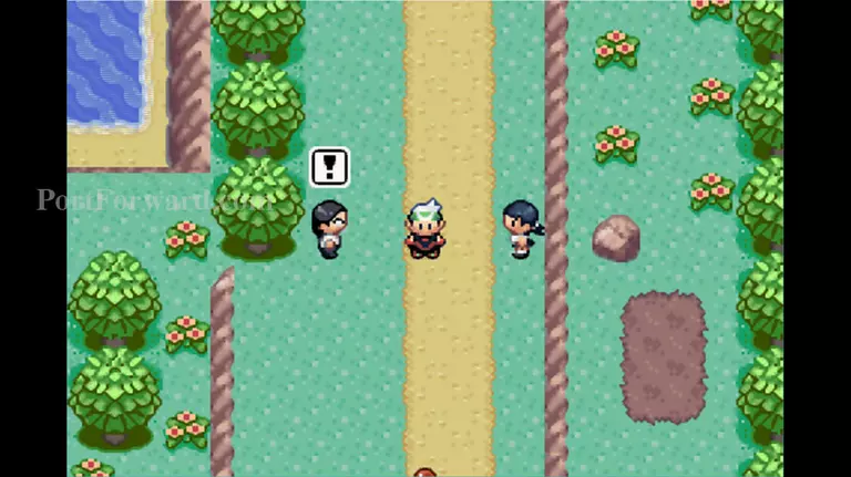 Pokemon Emerald Walkthrough - Pokemon Emerald 455