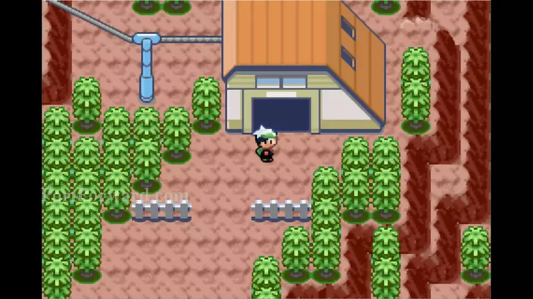 Pokemon Emerald Walkthrough - Pokemon Emerald 461