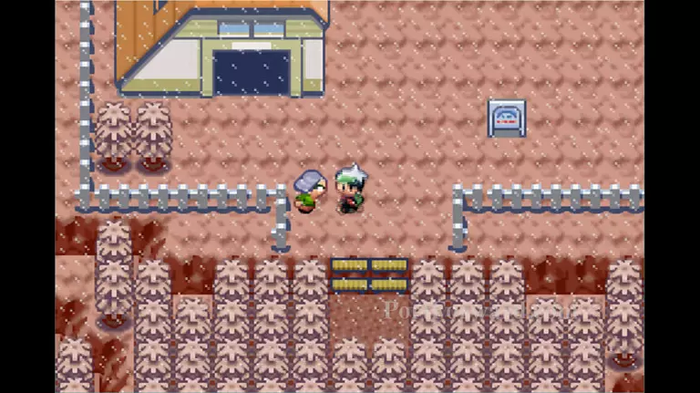 Pokemon Emerald Walkthrough - Pokemon Emerald 477