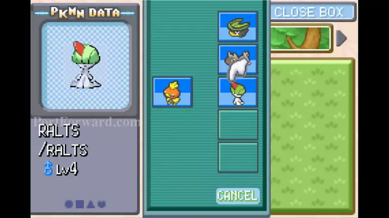 Pokemon Emerald Walkthrough - Pokemon Emerald 48