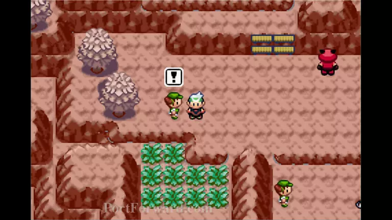 Pokemon Emerald Walkthrough - Pokemon Emerald 484