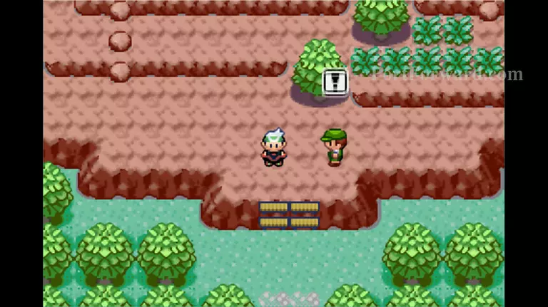 Pokemon Emerald Walkthrough - Pokemon Emerald 490