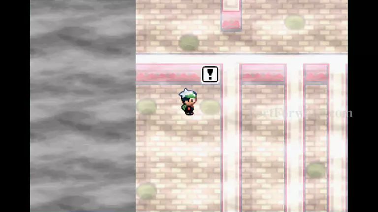 Pokemon Emerald Walkthrough - Pokemon Emerald 507