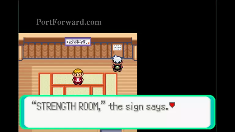 Pokemon Emerald Walkthrough - Pokemon Emerald 531