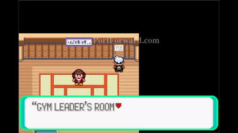 Pokemon Emerald Walkthrough - Pokemon Emerald 533