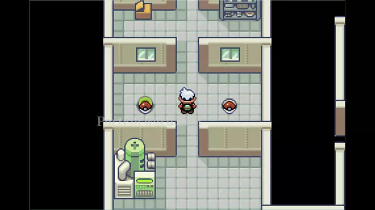 Pokemon Emerald Walkthrough - Pokemon Emerald 576