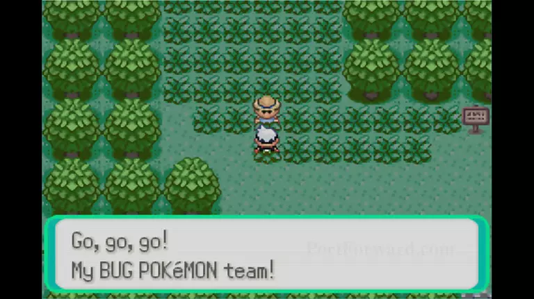 Pokemon Emerald Walkthrough - Pokemon Emerald 59