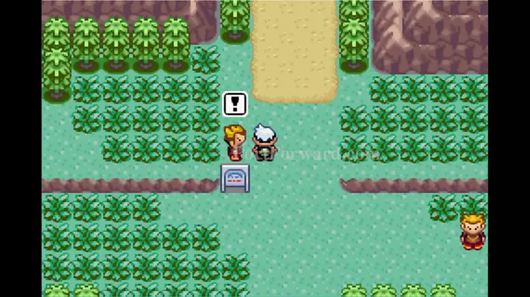 Pokemon Emerald Walkthrough - Pokemon Emerald 599