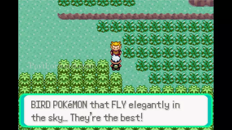 Pokemon Emerald Walkthrough - Pokemon Emerald 602