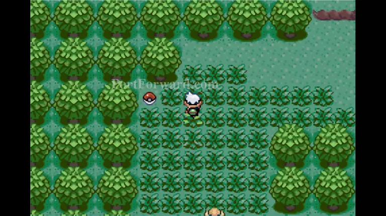 Pokemon Emerald Walkthrough - Pokemon Emerald 61