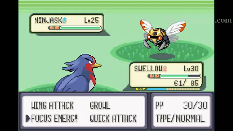 Pokemon Emerald Walkthrough - Pokemon Emerald 615