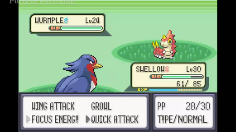 Pokemon Emerald Walkthrough - Pokemon Emerald 617