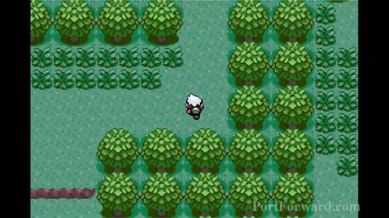 Pokemon Emerald Walkthrough - Pokemon Emerald 62