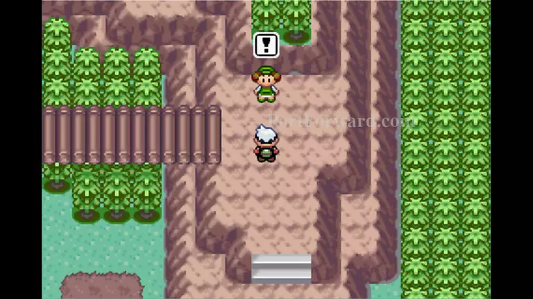 Pokemon Emerald Walkthrough - Pokemon Emerald 625