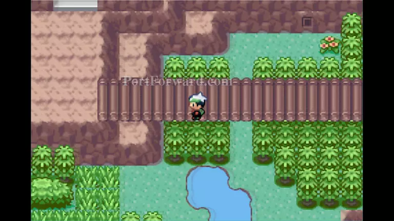 Pokemon Emerald Walkthrough - Pokemon Emerald 628