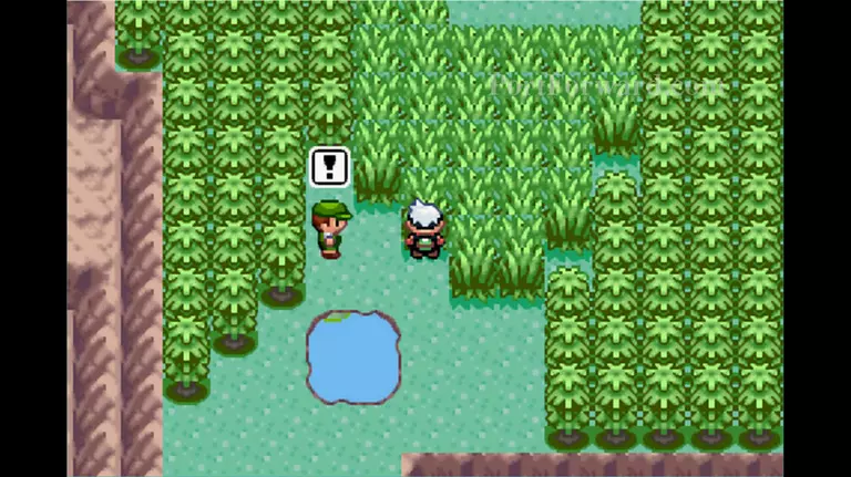 Pokemon Emerald Walkthrough - Pokemon Emerald 629