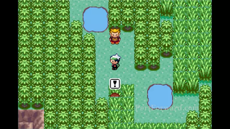 Pokemon Emerald Walkthrough - Pokemon Emerald 631