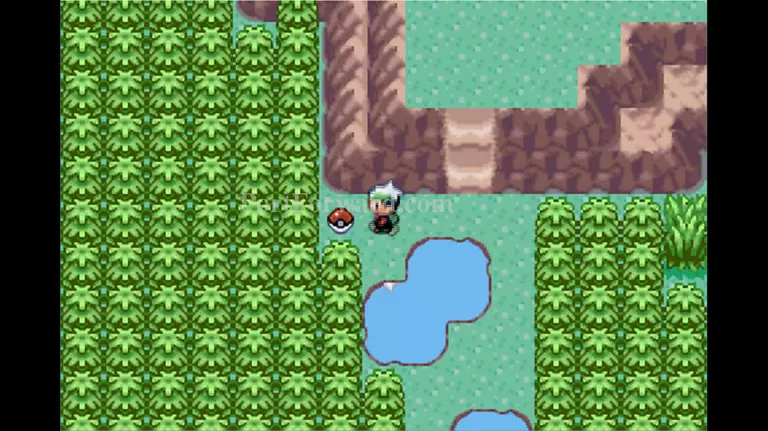 Pokemon Emerald Walkthrough - Pokemon Emerald 633