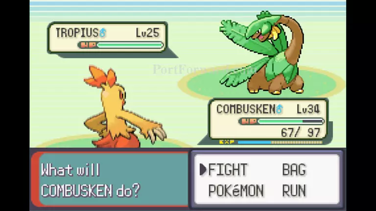 Pokemon Emerald Walkthrough - Pokemon Emerald 636