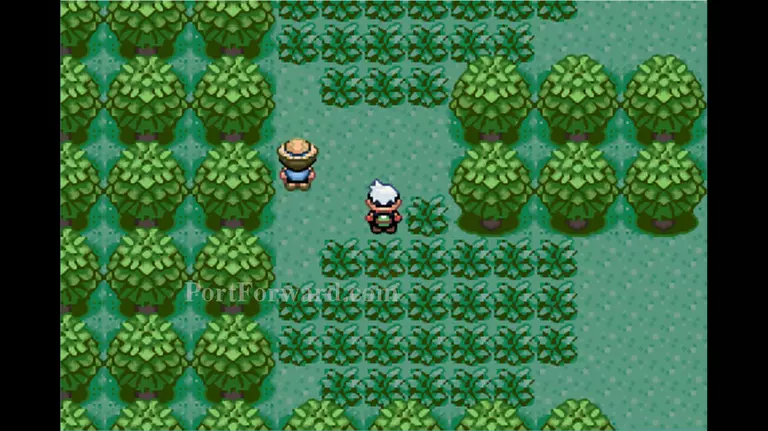 Pokemon Emerald Walkthrough - Pokemon Emerald 66