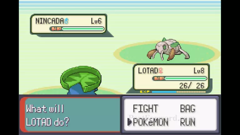 Pokemon Emerald Walkthrough - Pokemon Emerald 67