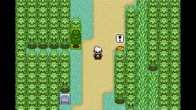 Pokemon Emerald Walkthrough - Pokemon Emerald 670