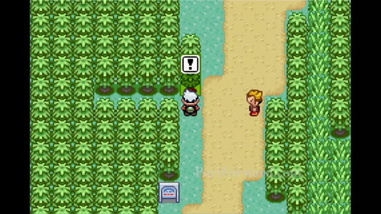 Pokemon Emerald Walkthrough - Pokemon Emerald 672