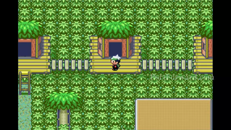 Pokemon Emerald Walkthrough - Pokemon Emerald 677