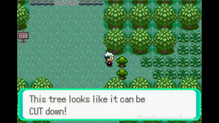 Pokemon Emerald Walkthrough - Pokemon Emerald 68