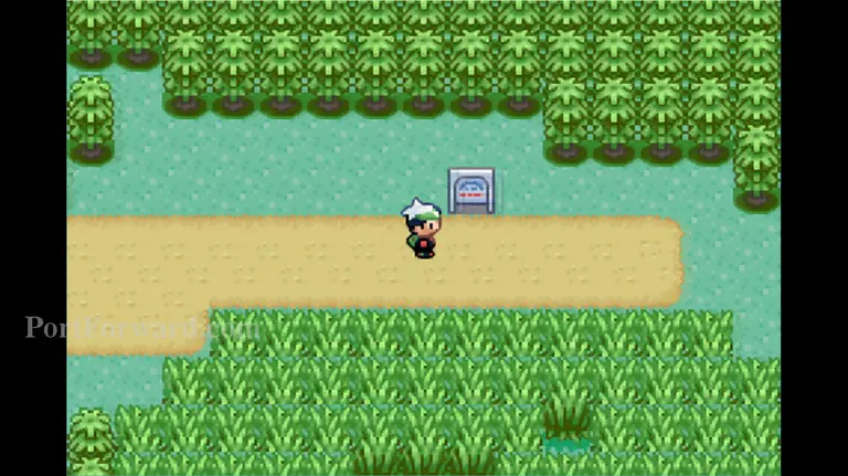 Pokemon Emerald Walkthrough - Pokemon Emerald 685