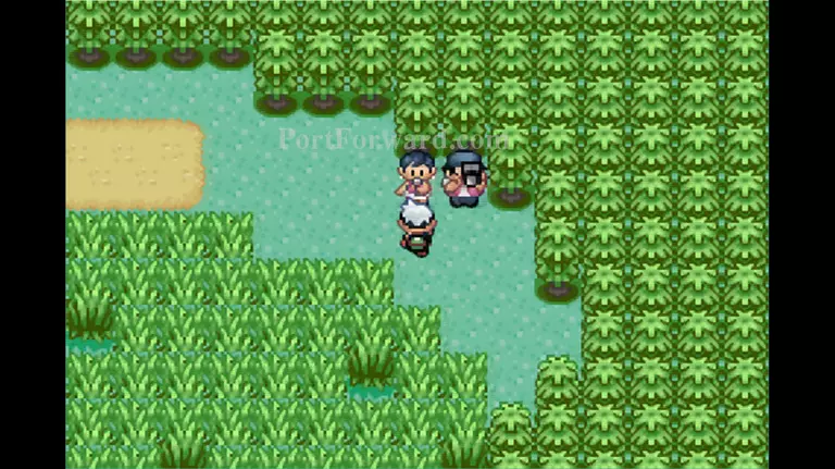 Pokemon Emerald Walkthrough - Pokemon Emerald 686