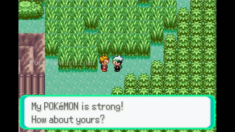 Pokemon Emerald Walkthrough - Pokemon Emerald 688