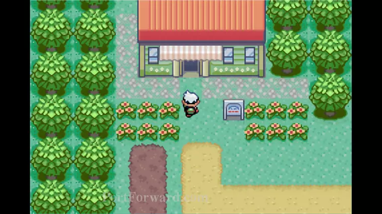 Pokemon Emerald Walkthrough - Pokemon Emerald 69