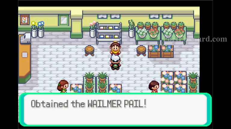 Pokemon Emerald Walkthrough - Pokemon Emerald 70