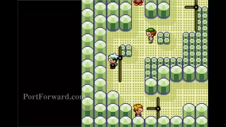 Pokemon Emerald Walkthrough - Pokemon Emerald 700