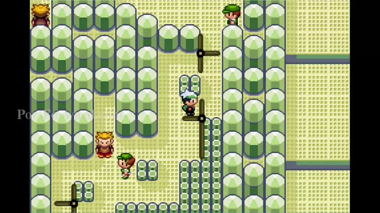 Pokemon Emerald Walkthrough - Pokemon Emerald 705