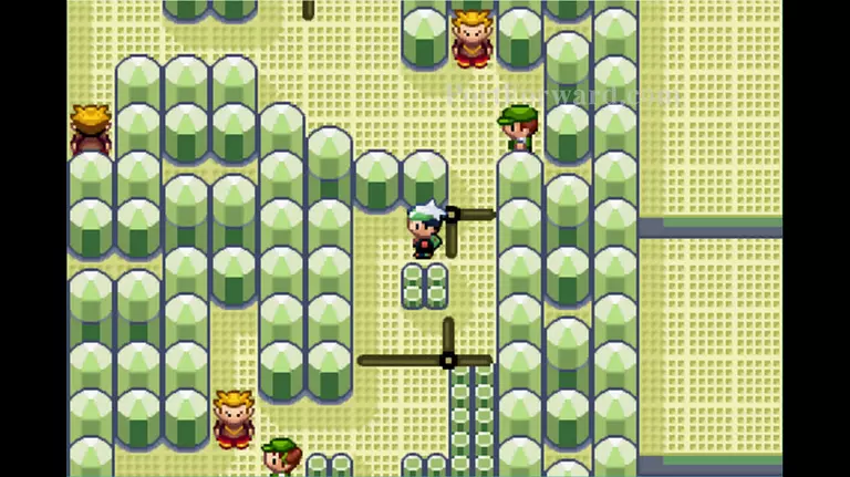 Pokemon Emerald Walkthrough - Pokemon Emerald 706