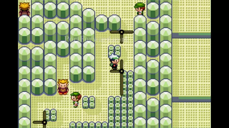 Pokemon Emerald Walkthrough - Pokemon Emerald 707