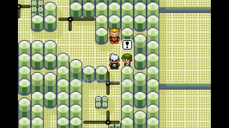 Pokemon Emerald Walkthrough - Pokemon Emerald 708