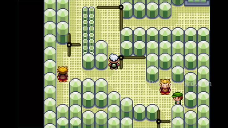 Pokemon Emerald Walkthrough - Pokemon Emerald 714