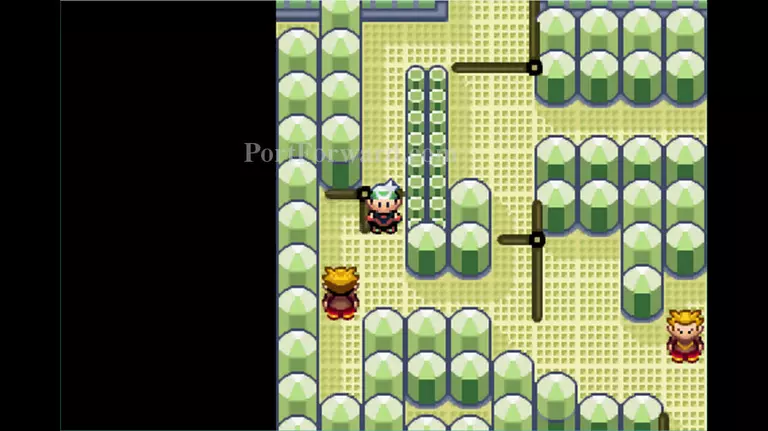 Pokemon Emerald Walkthrough - Pokemon Emerald 716