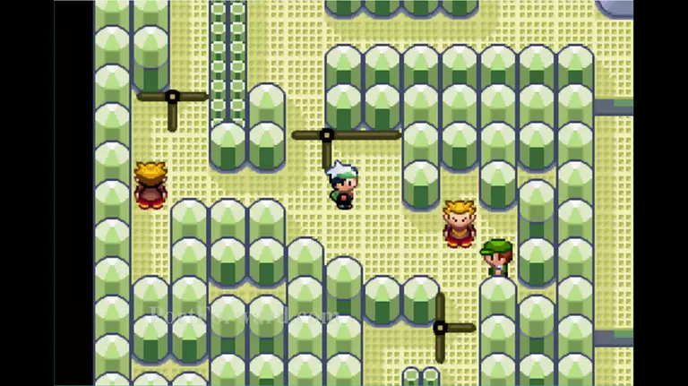 Pokemon Emerald Walkthrough - Pokemon Emerald 717